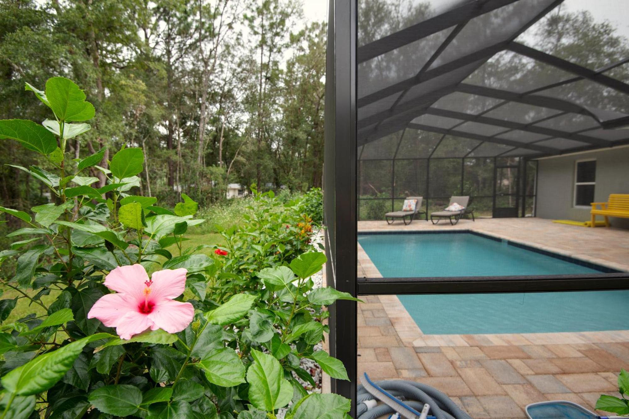 Pet-Friendly, Heated Pool, Close To Everything 3 Bedroom Home Dunnellon Εξωτερικό φωτογραφία